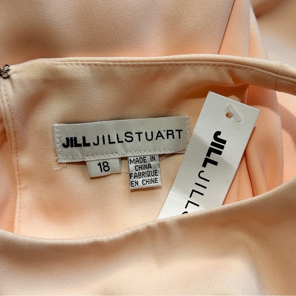 JILL STUART Iva Bridesmaid Maxi Dress sz 18 Peach Sleeveless BHLDN Anthropologie - Picture 10 of 12